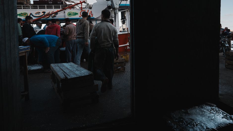 Sarandë Albania fish market fresh catch morning