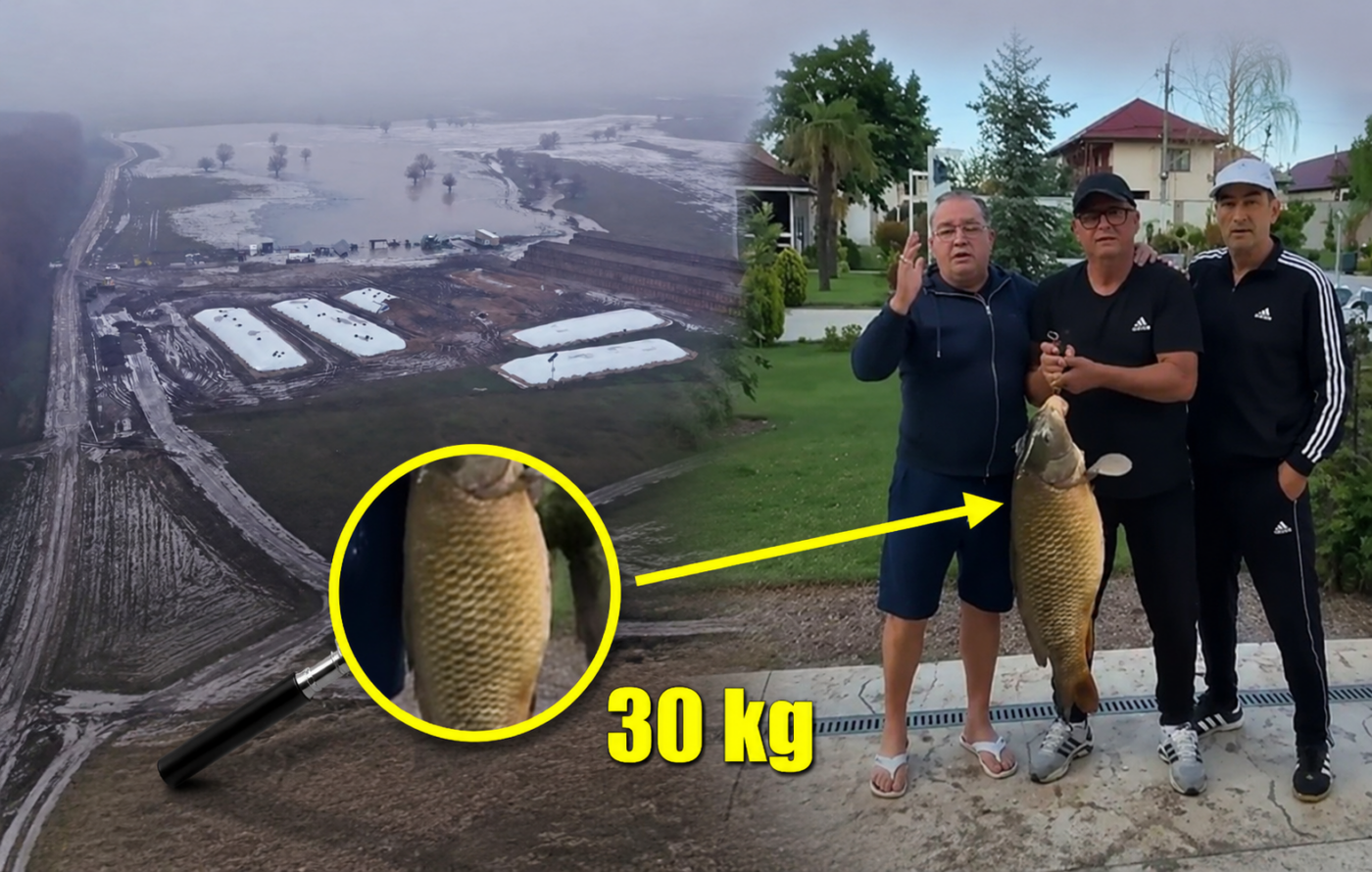 Nețoiu and Pițurcă Hook a 30kg Carp: "The Biggest Trophy!"