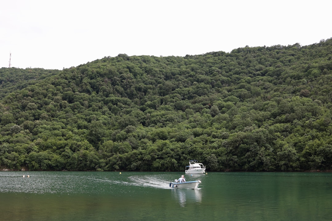Lim Fjord Istria Croatia kayaking bird watching