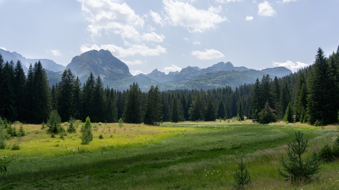 Prokletije National Park Montenegro jagged limestone peaks alpine meadows