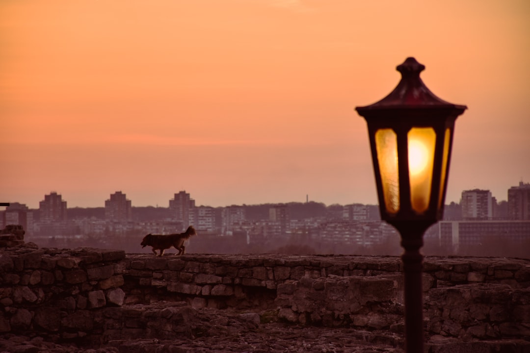 Skadarlija Belgrade bohemian street lamps evening