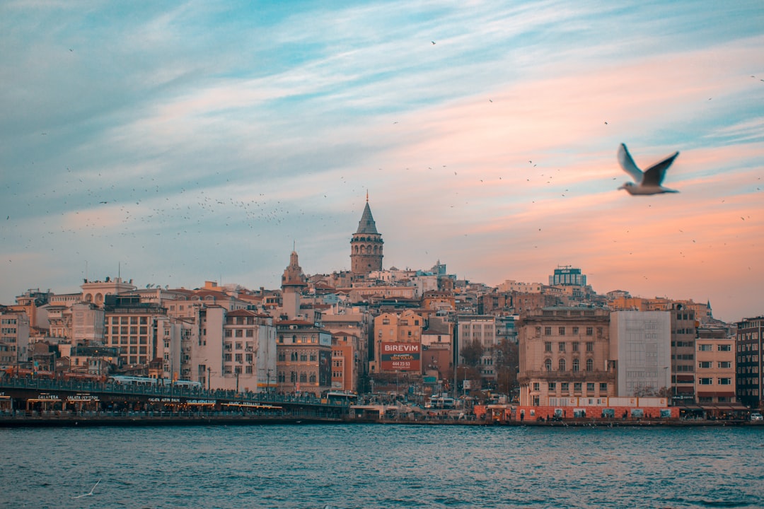 Bosphorus Cruise Istanbul city skyline Maiden's Tower
