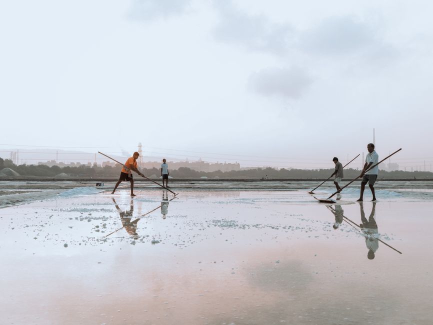 Salt workers harvesting crystals by hand in Ulcinj Salina
