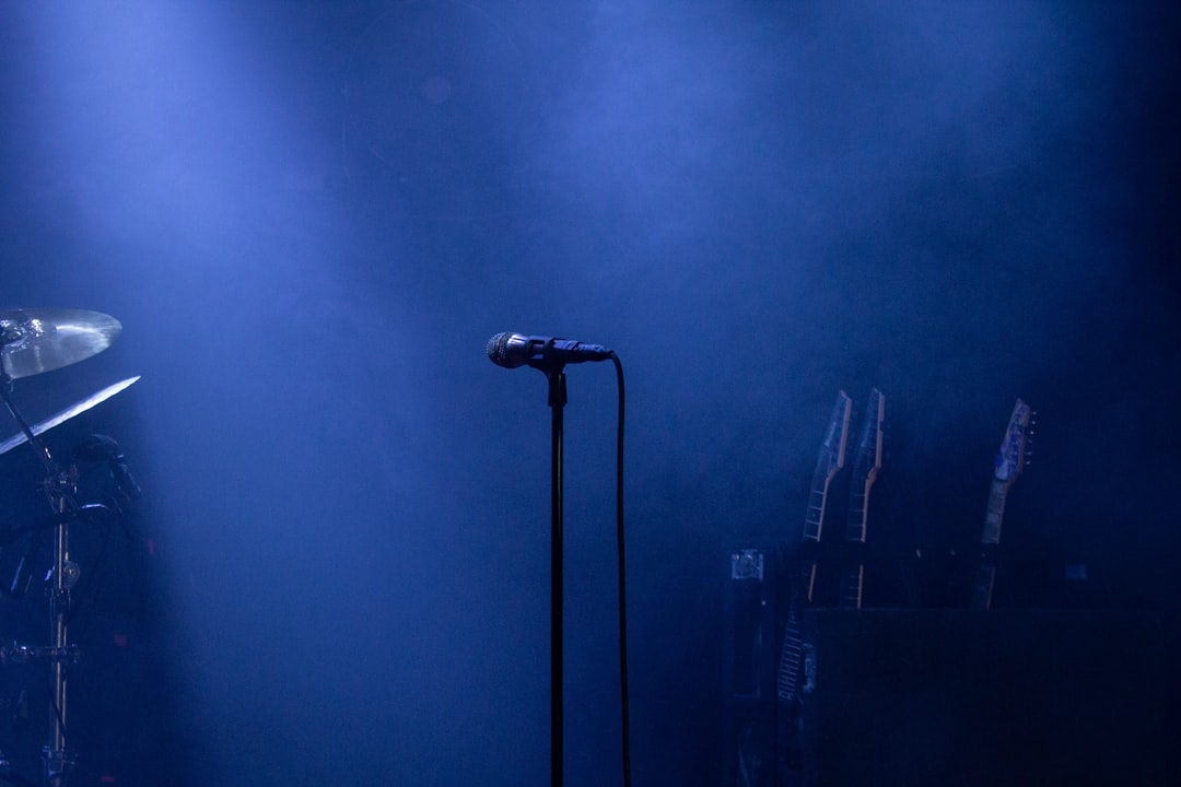 Dragana Mirkovic singing live concert stage lights