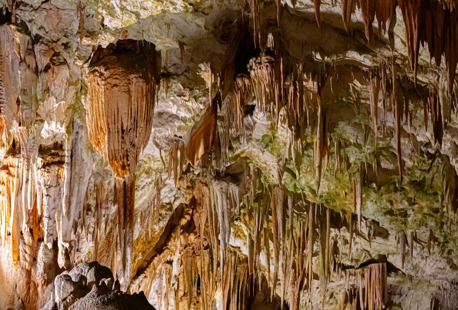 Stalactites and Stone: A Subterranean Descent into Slovenia's Postojna and Škocjan Caves