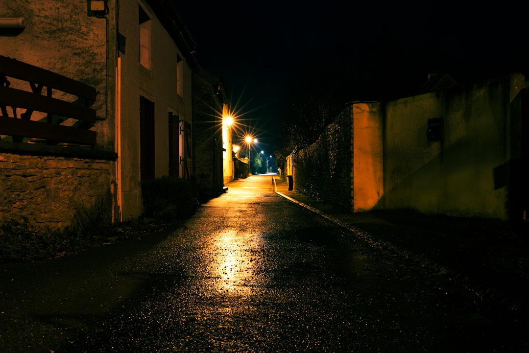 Rila village night street quiet dark pine trees