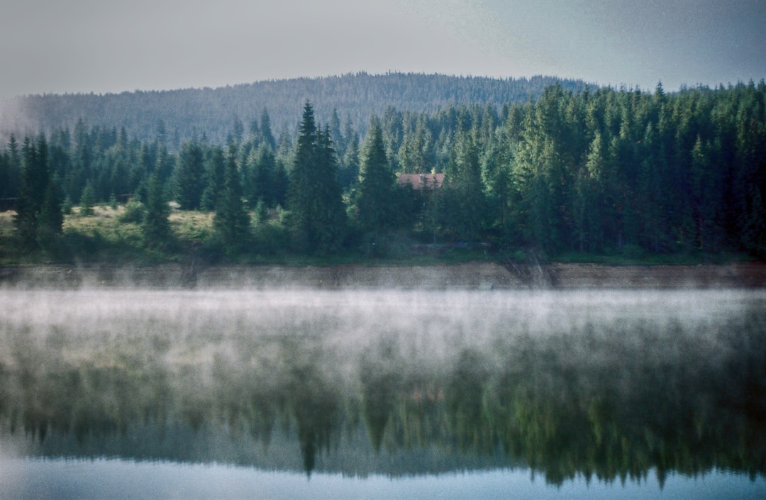 Bâlea Lake Romania Făgăraș Mountains alpine water pine forest autumn