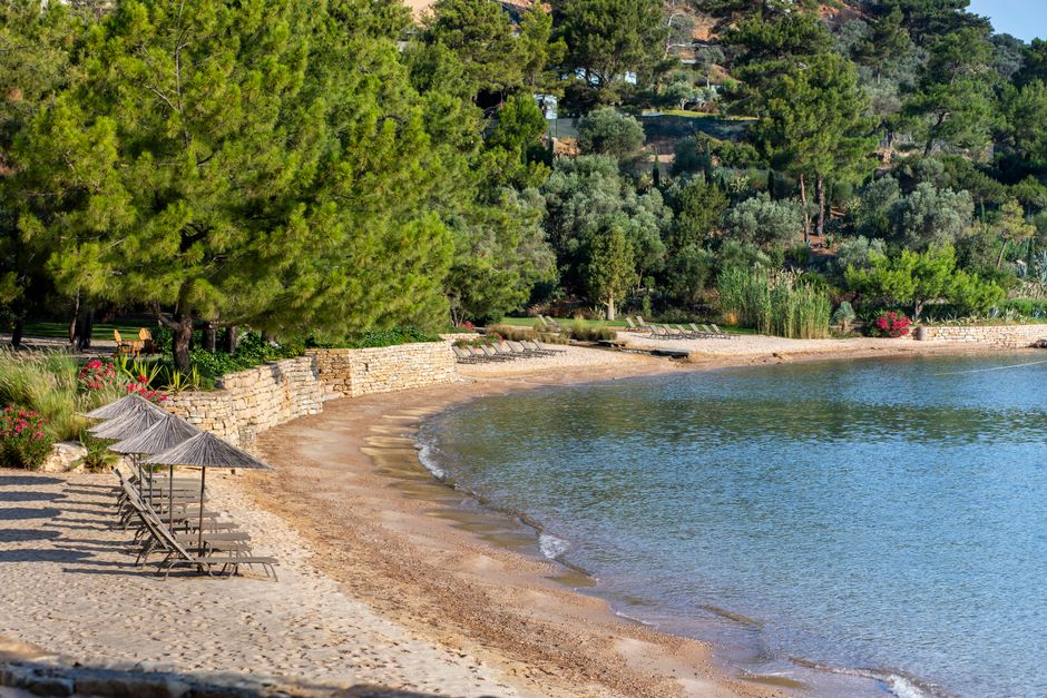 Kraljica Marine Lokrum beach pine trees turquoise water sunbeds