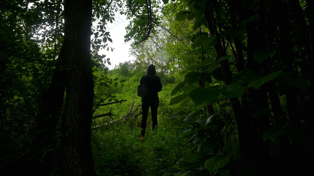 Rare Plant Discovery in Zaječar: A Shocking Find