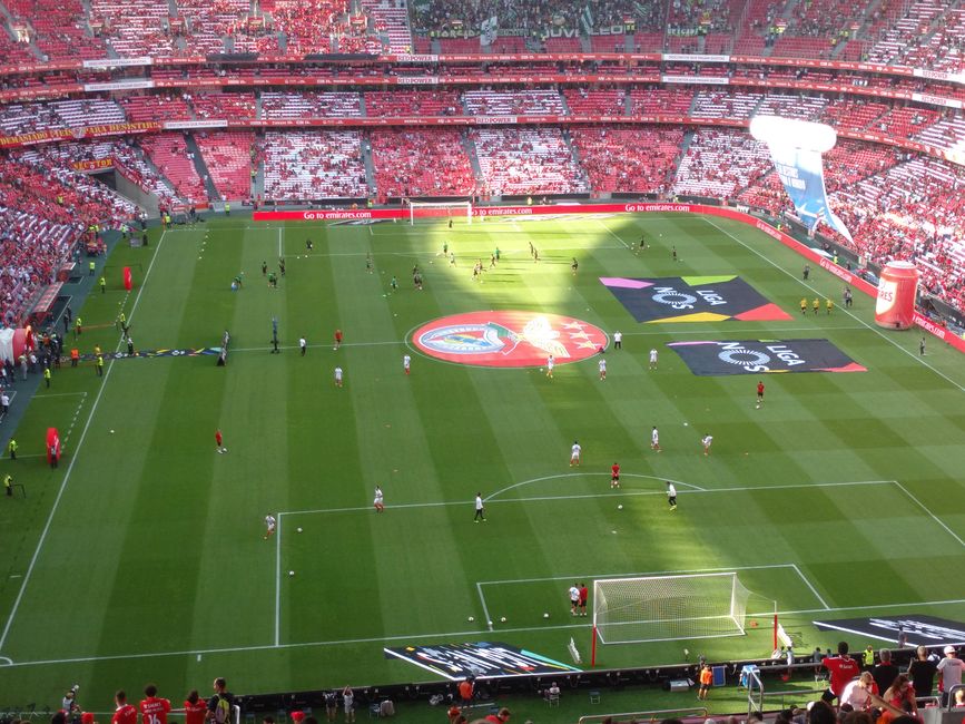 Young Talent Rejects Liverpool Bid for RB Leipzig and Leverkusen