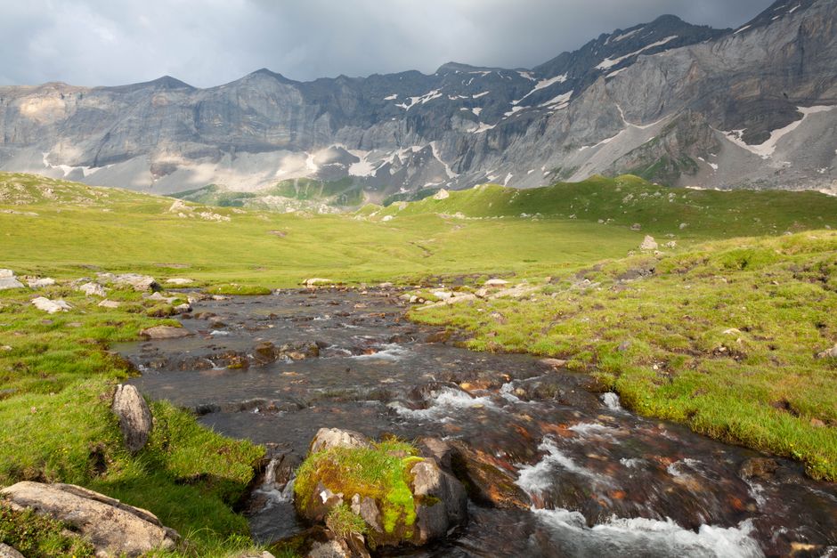 Prionia Plateau Mount Olympus Greece wildflowers green meadow