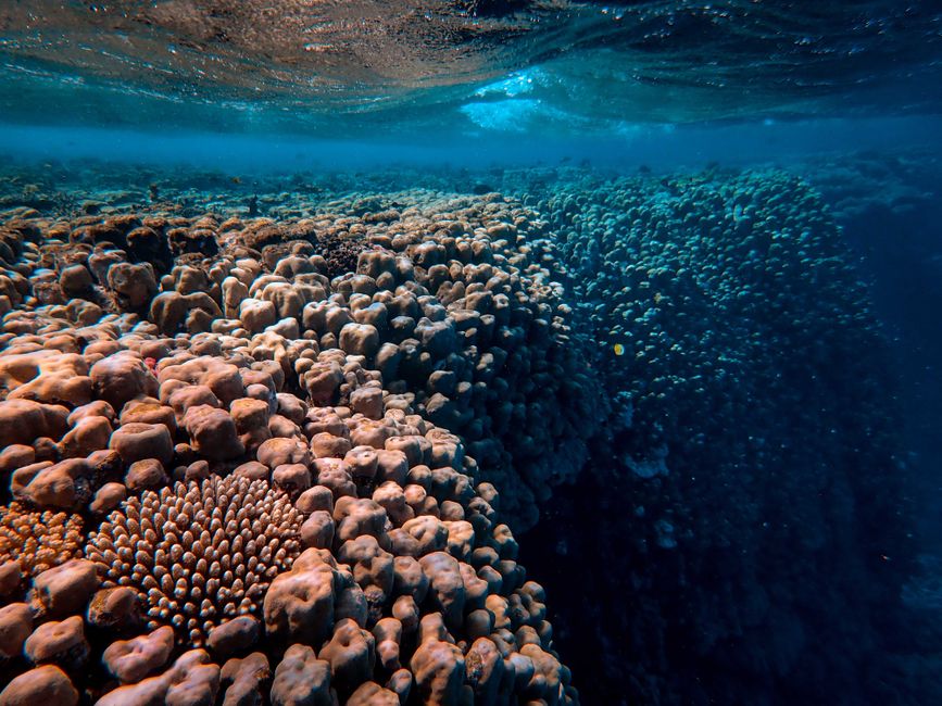 Deep blue water drop off Limnos southern channel underwater coral