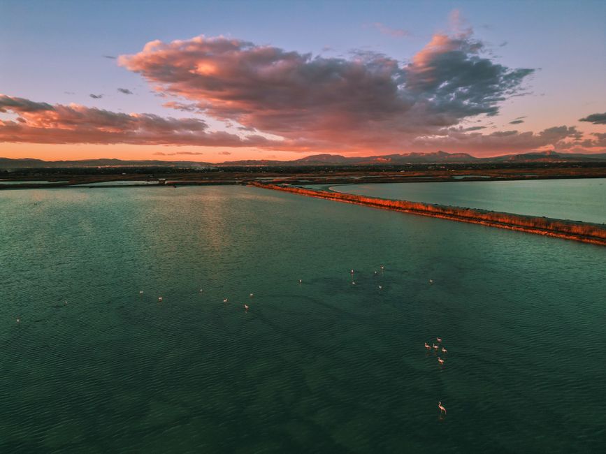 Sečovlje Salina Slovenia salt pans flamingos sunset