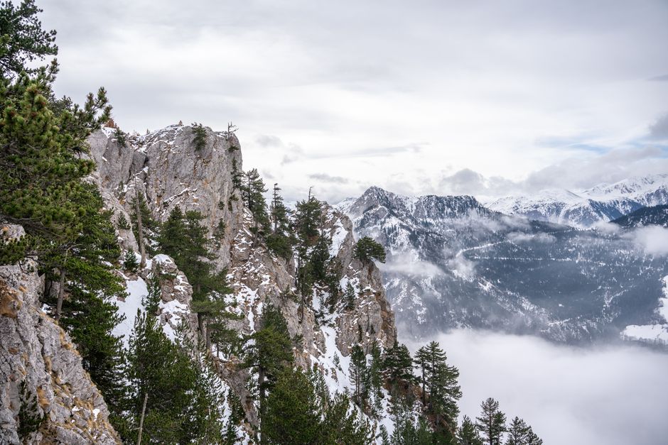 Galičica mountain North Macedonia rugged peaks pine forest mist