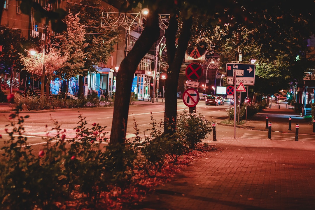 Mamaia Romania street party atmosphere night