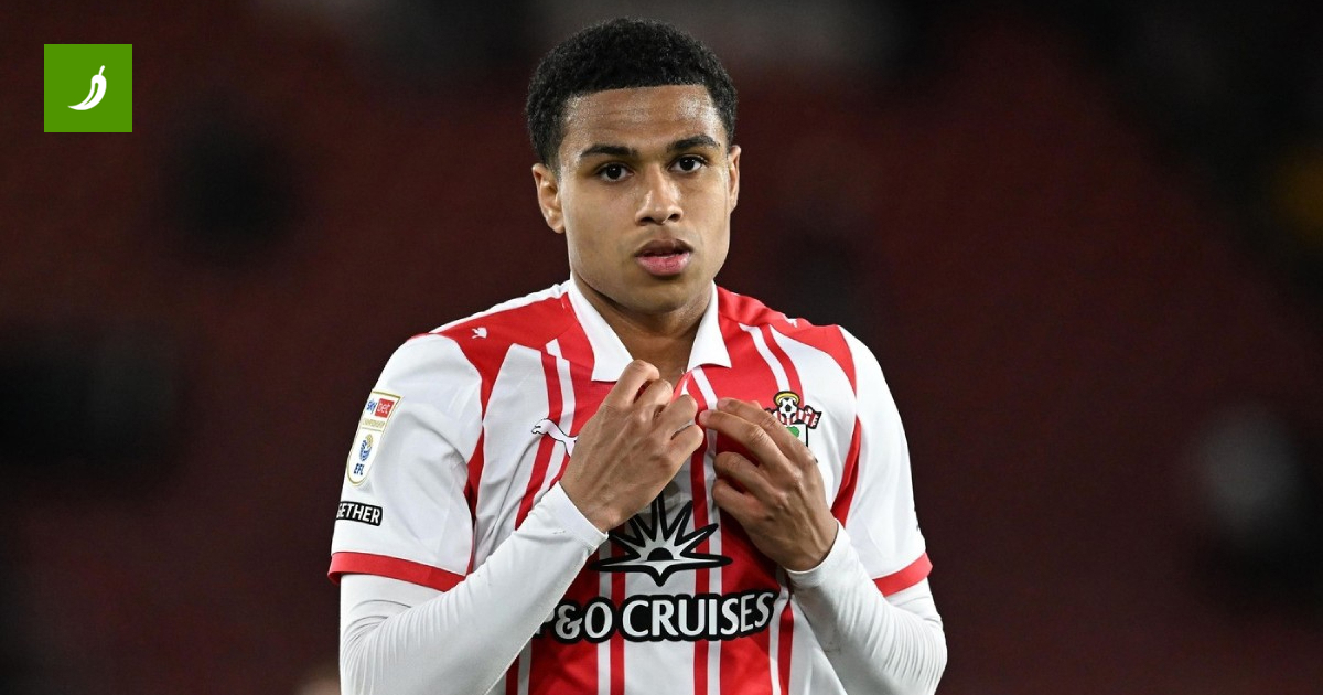 Southampton Dismissed from Premier League Playoffs