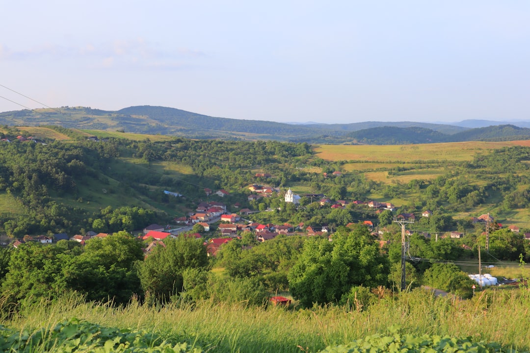Fuel Prices Drop Across the Balkans as Summer Travel Demand Peaks