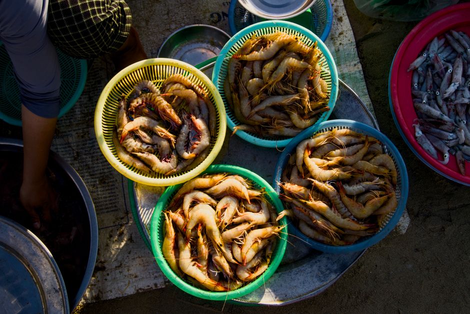 Ulcinj market Montenegro fresh fish seafood colorful produce stalls