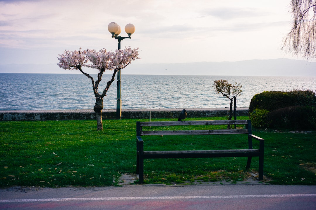 Ohrid lakefront nightlife bars evening atmosphere lights
