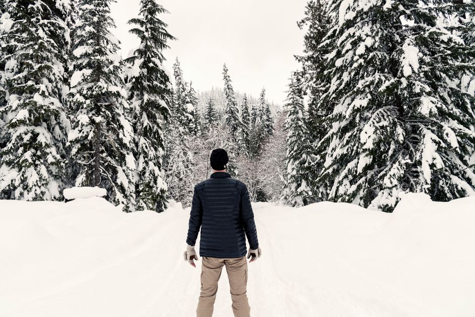 Vidlik village Kopaonik winter spruce forest trail
