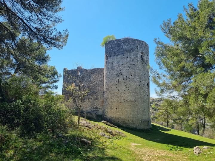 Kids Uncover Da Vinci Cannon at Croatia's Kličevica Fortress