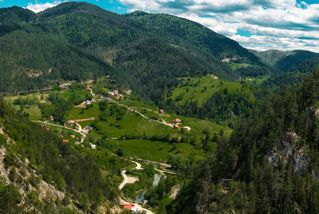Fruška Gora Wine Trail: Cycling and tasting in Serbia's only national park