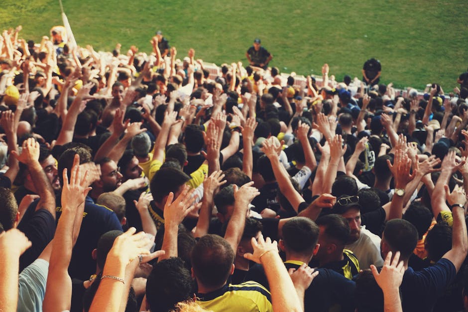 Fenerbahce stadium crowd cheering match day