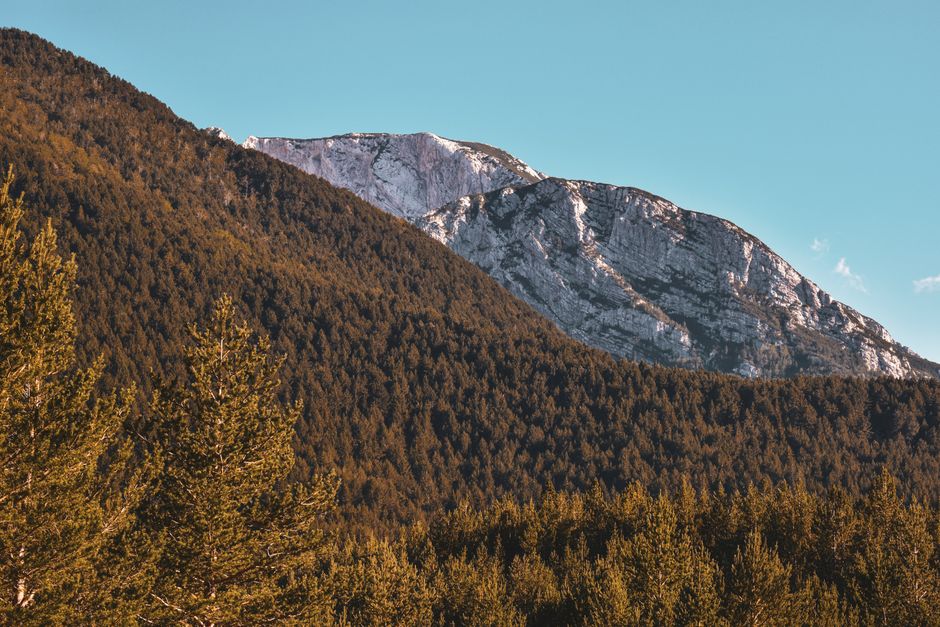 Sutjeska National Park Bosnia Herzegovina dense forest glacial lake