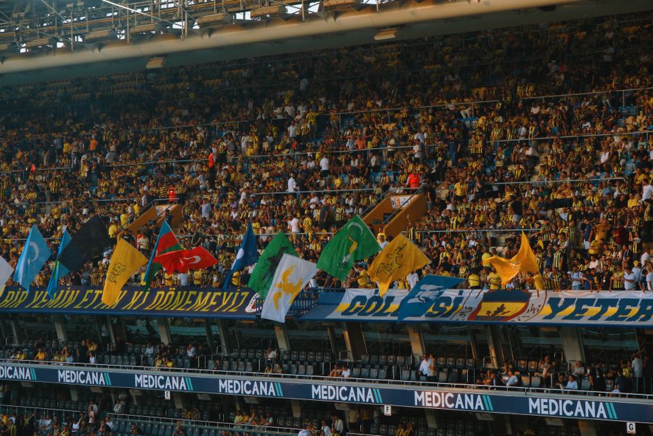 Bosnia Herzegovina fans celebrating goal stadium