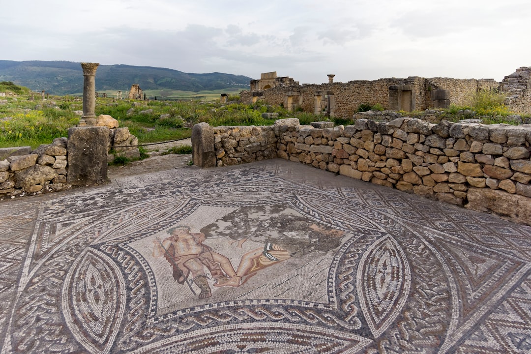 Terrace Houses Ephesus mosaic floor fresco interior
