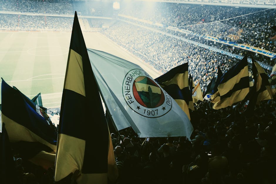 Partizan Stadium Belgrade Humsko Polje fans black white flags