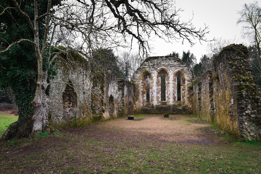 Benedictine Abbey Lokrum ruins ancient trees garden