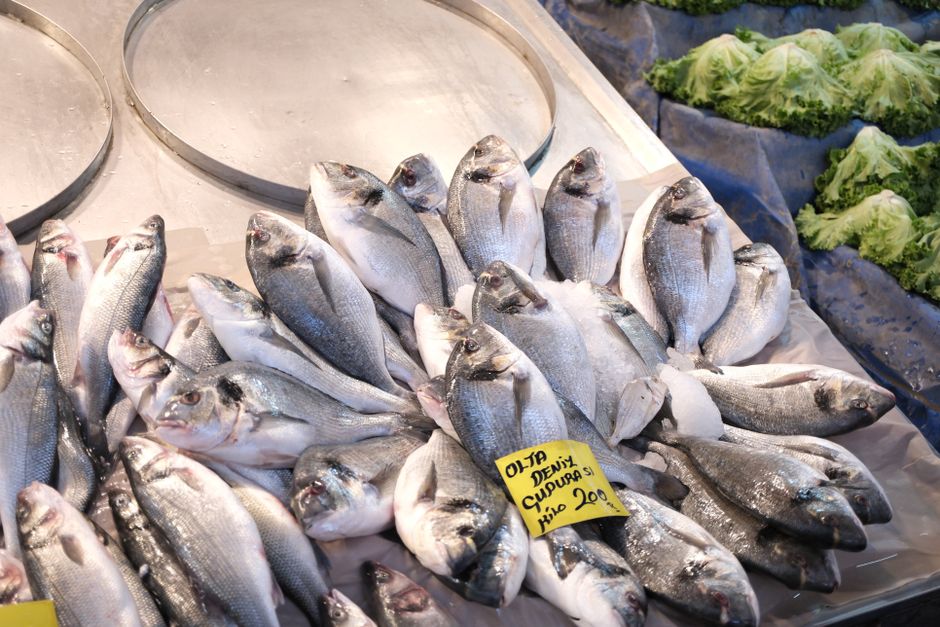 Constanta Central Market fresh seafood display
