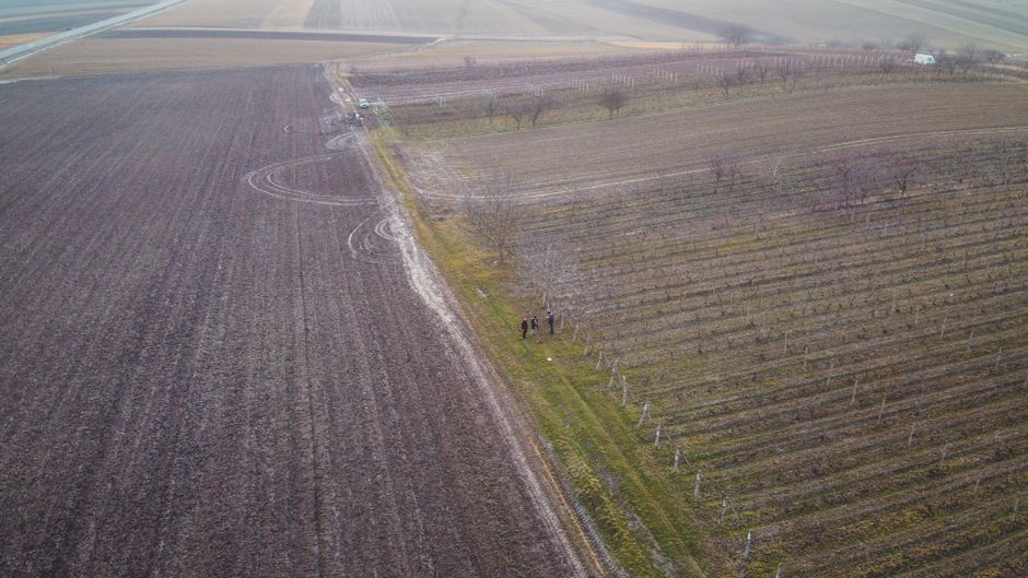 Bulgarian farmer using agricultural drone over vineyard