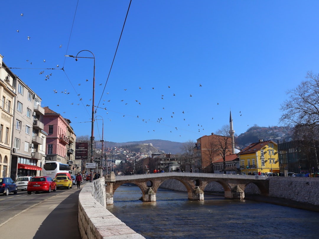 Bosnia Herzegovina fans celebrating victory in Sarajevo