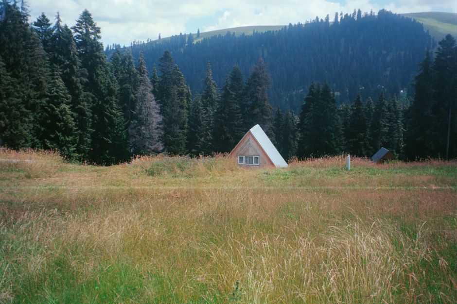 Kosharata mountain hut Vitosha Bulgaria exterior pine forest