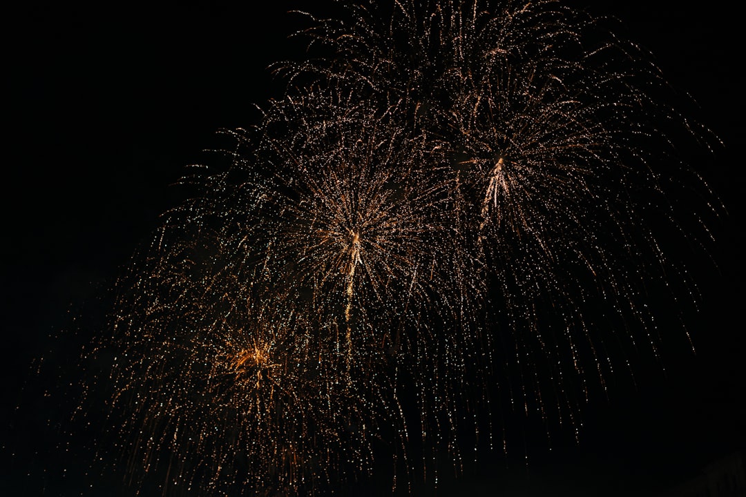 Bucharest National Day fireworks night sky