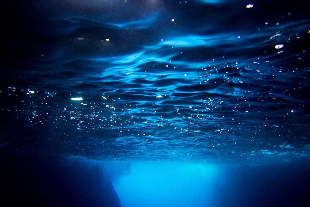 Snorkeler in dark water holding headlamp blue glowing plankton close-up