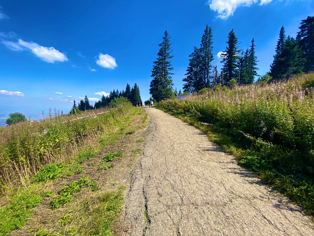 Hikers on trail Yastan to Seven Lakes Pirin Bulgaria pine forest granite path