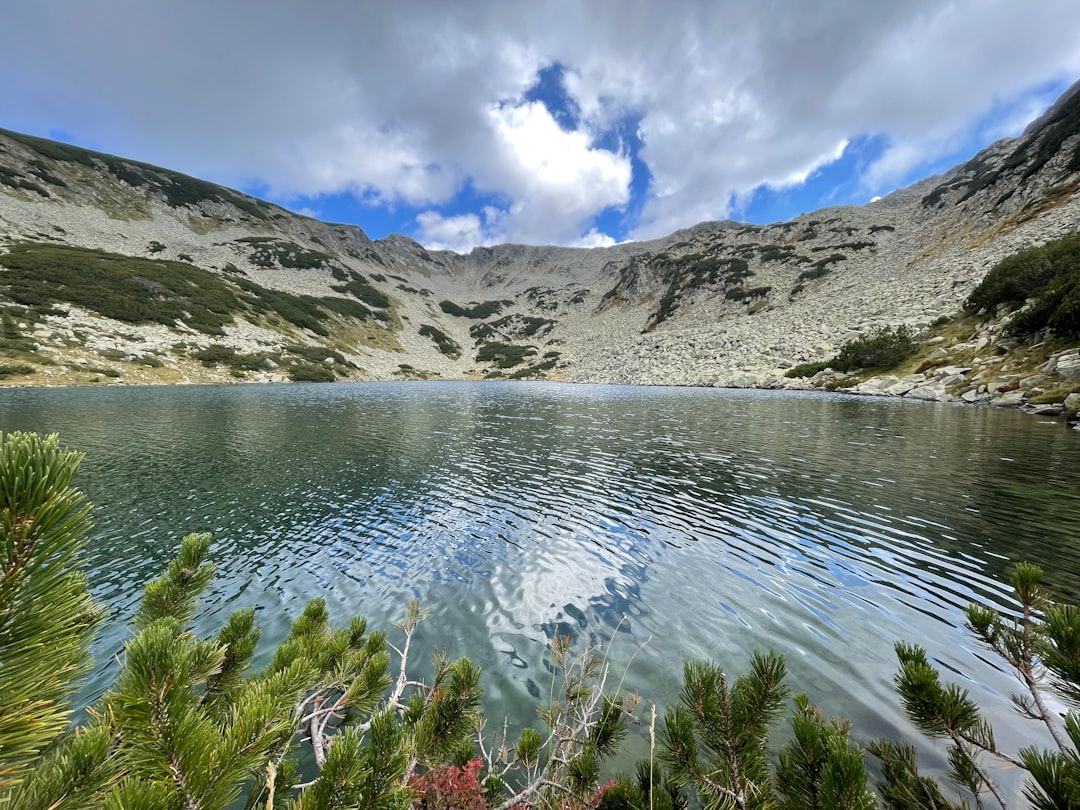 Pirin Mountains Bulgaria hiking trail alpine meadow wildflowers