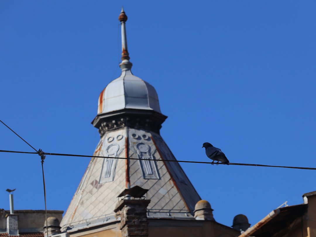 Gazi Husrev-bey Mosque Sarajevo Ottoman architecture dome minaret